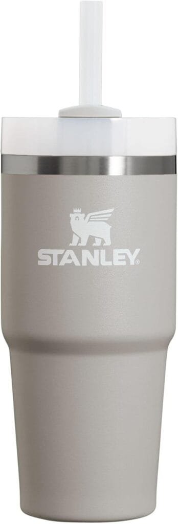 Stanley Quencher H2.0 FlowState Stainless Steel Vacuum Insulated Tumbler with Lid and Straw for Water, Iced Tea or Coffee, Smoothie and More, Ash, 14oz